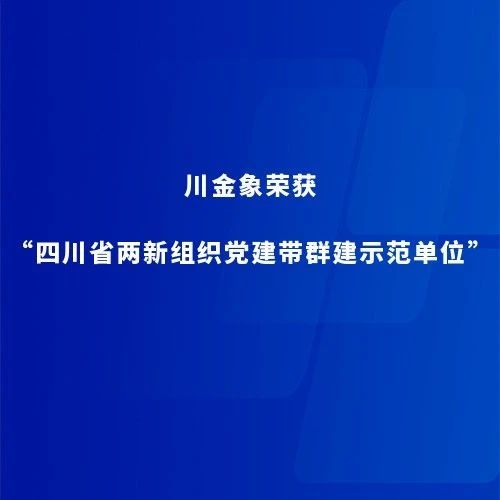 川金象荣获“四川省两新组织党建带群建示范单位”